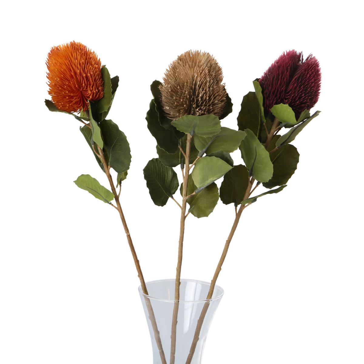 Banksia-Einstieler 1 Blüte Farbmix (3 Farben)