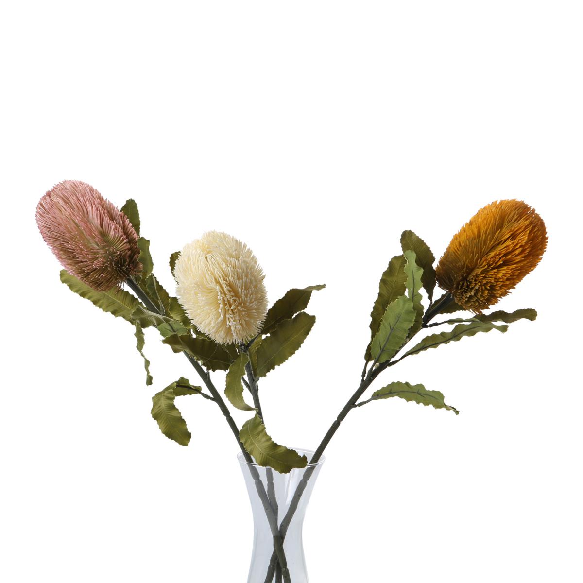 Banksia-Einstieler Farbmix (3 Farben)