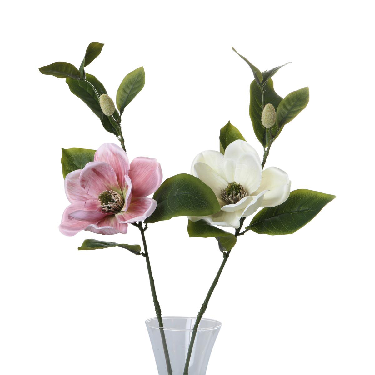 Magnolie-Einstieler Farbmix (2 Farben)