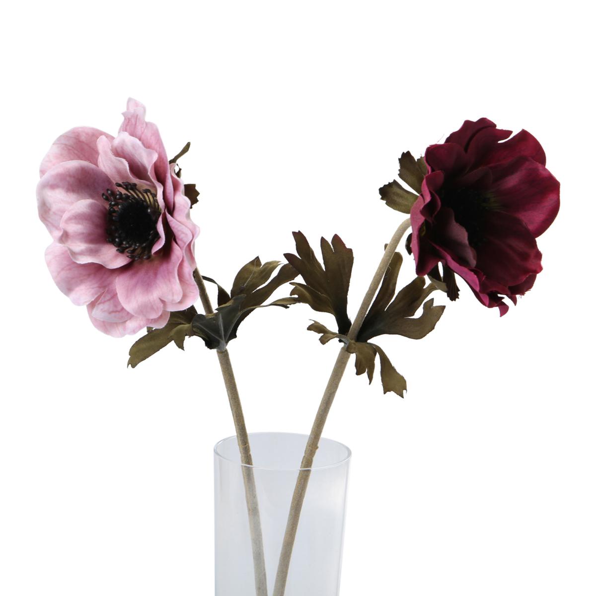 Anemone-Einstieler Farbmix (2 Farben)