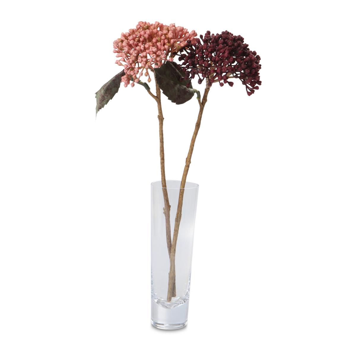 Hortensie-Einstieler Farbmix (3 Farben)