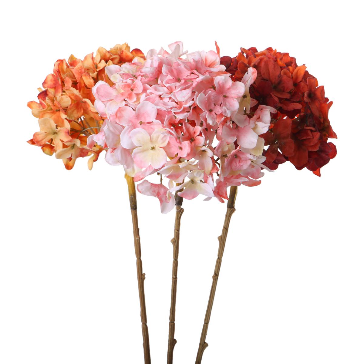 Hortensie-Einstieler Farbmix (3 Farben)