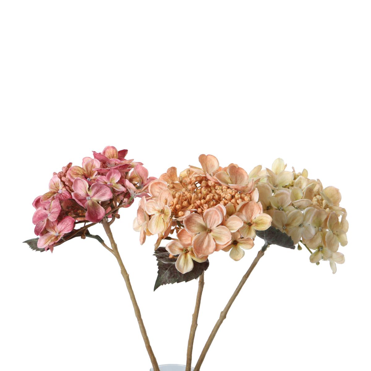 Hortensie-Einstieler Farbmix (3 Farben)