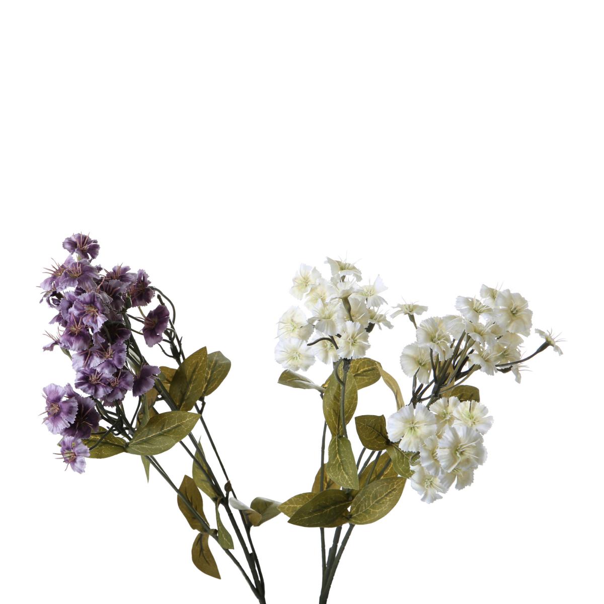 Dianthus-Einstieler Farbmix (2 Farben)