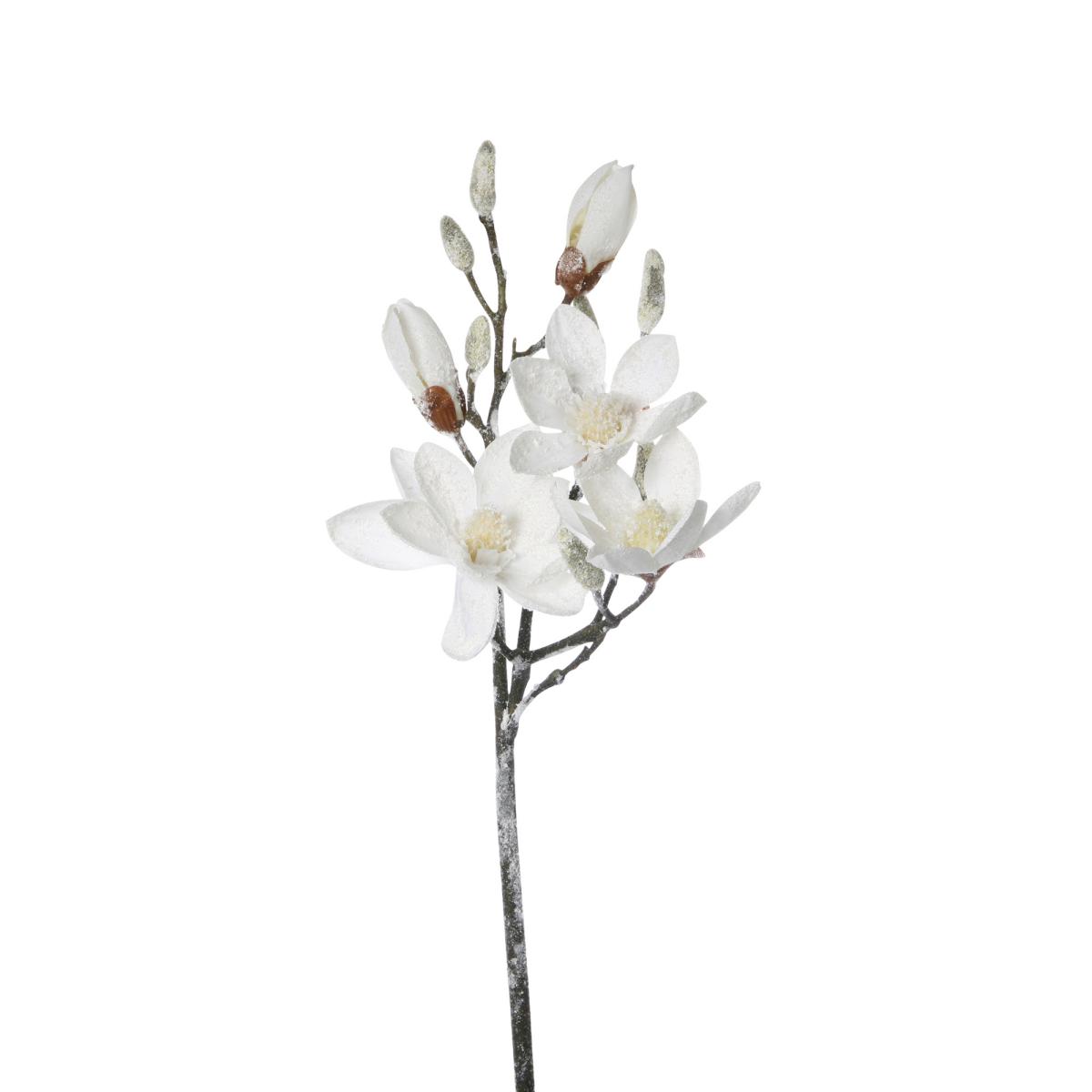 Magnolien-Einstieler beschneit