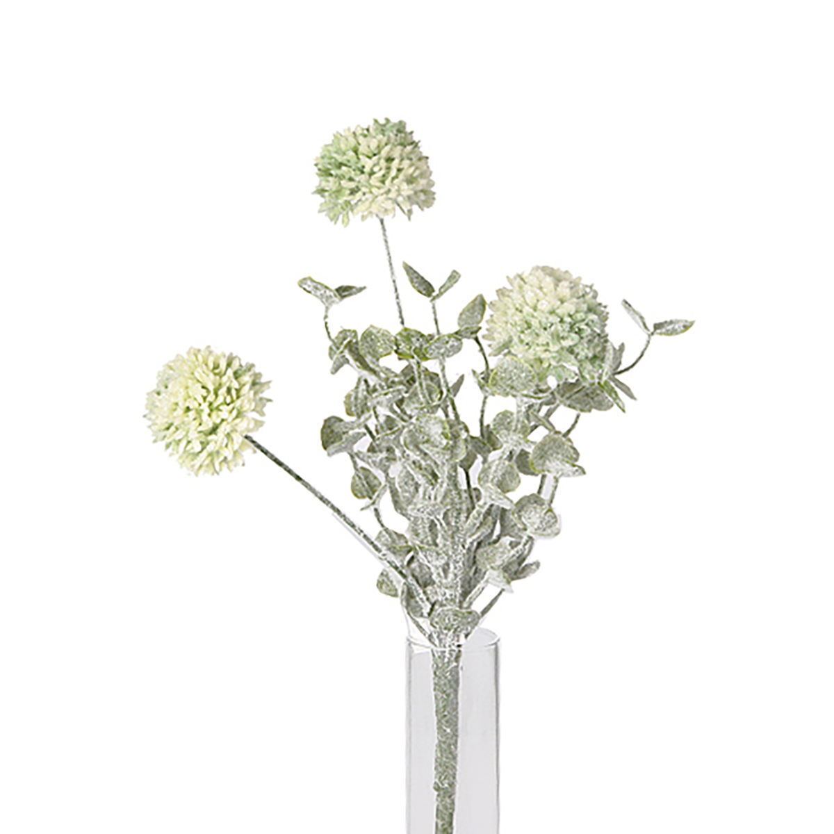 Viburnum Pick gefrosted