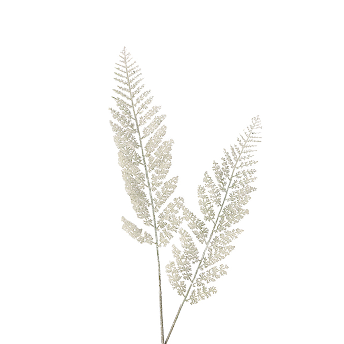 Farn-Blatt beschneit