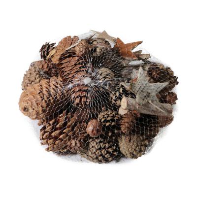 Tannenzapfen mit Birkensternen