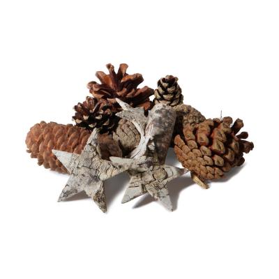 Tannenzapfen mit Birkensternen