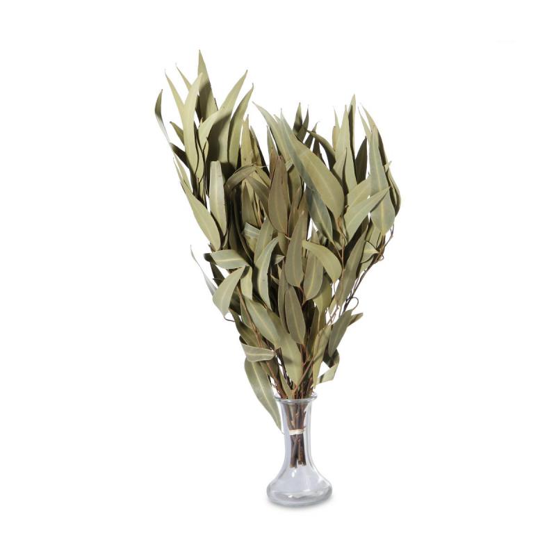 Eucalyptus Zweige 50-70cm