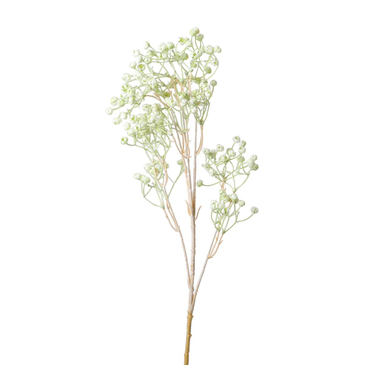 Gypsophylla-Einstieler weiß