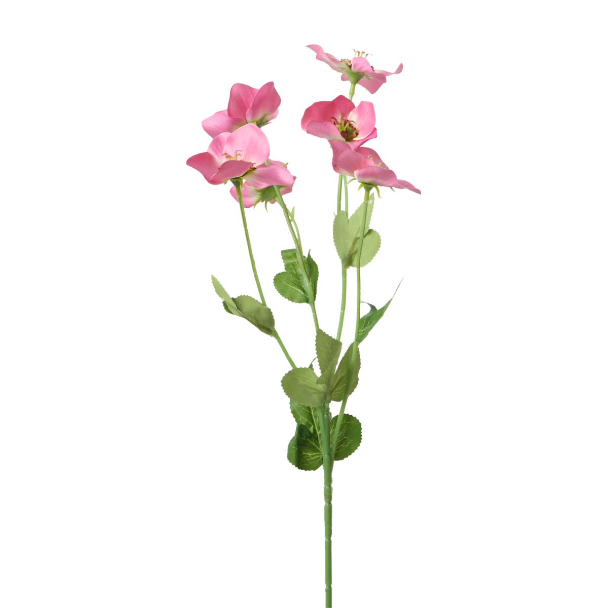 Helleborus-Einstieler rosa