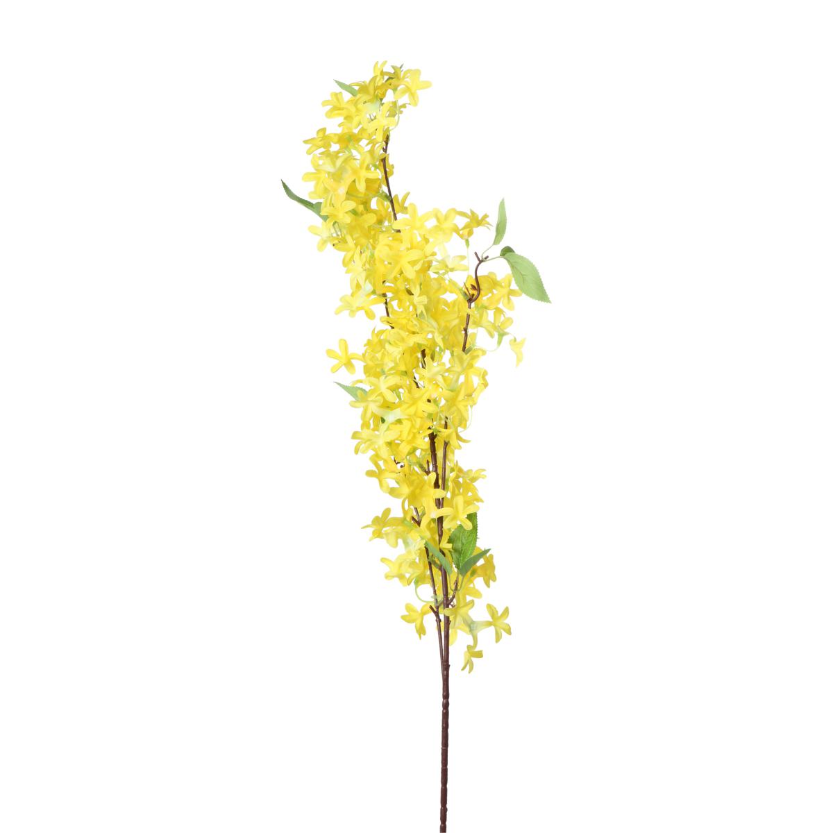 Forsythia-Einstieler gelb