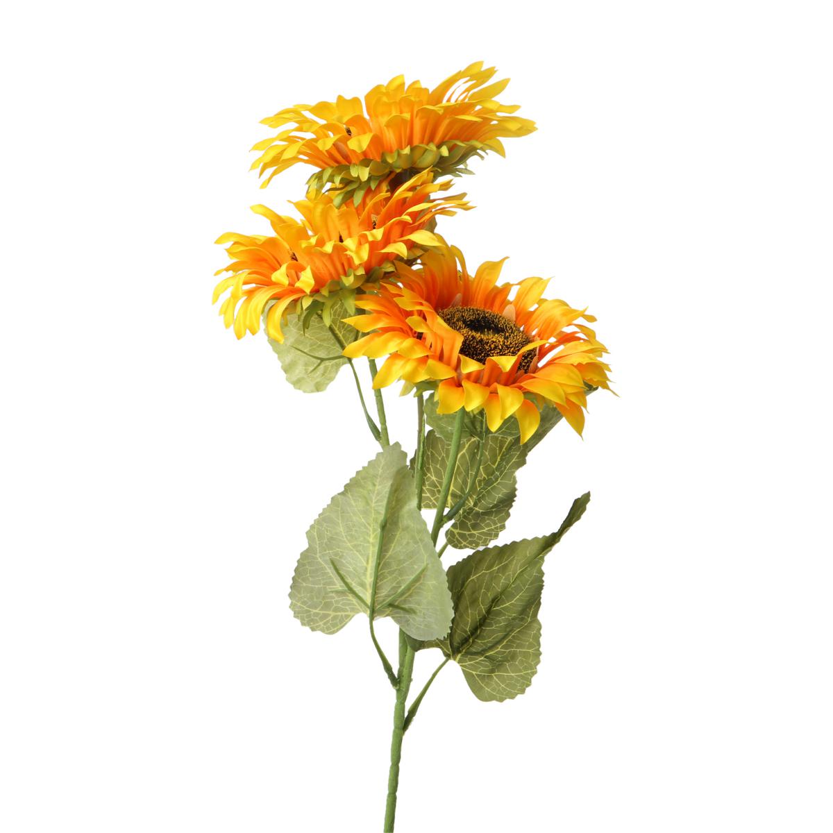 Sonnenblume