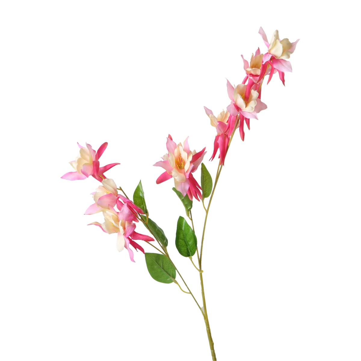 Akelei-Einstlieler apricot