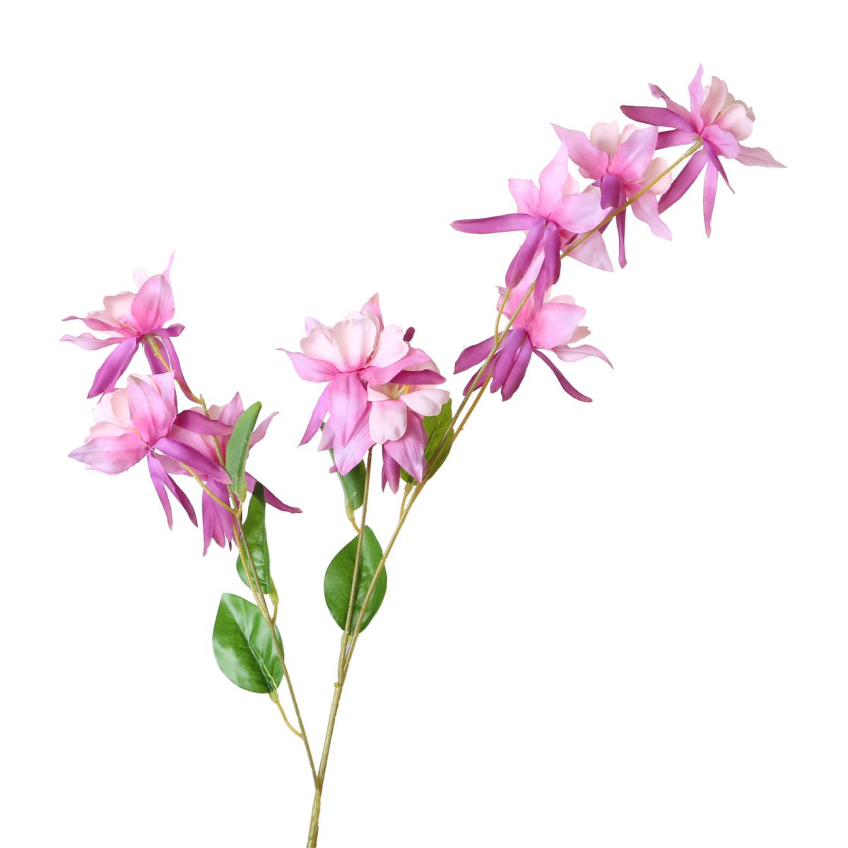 Akelei-Einstlieler pink