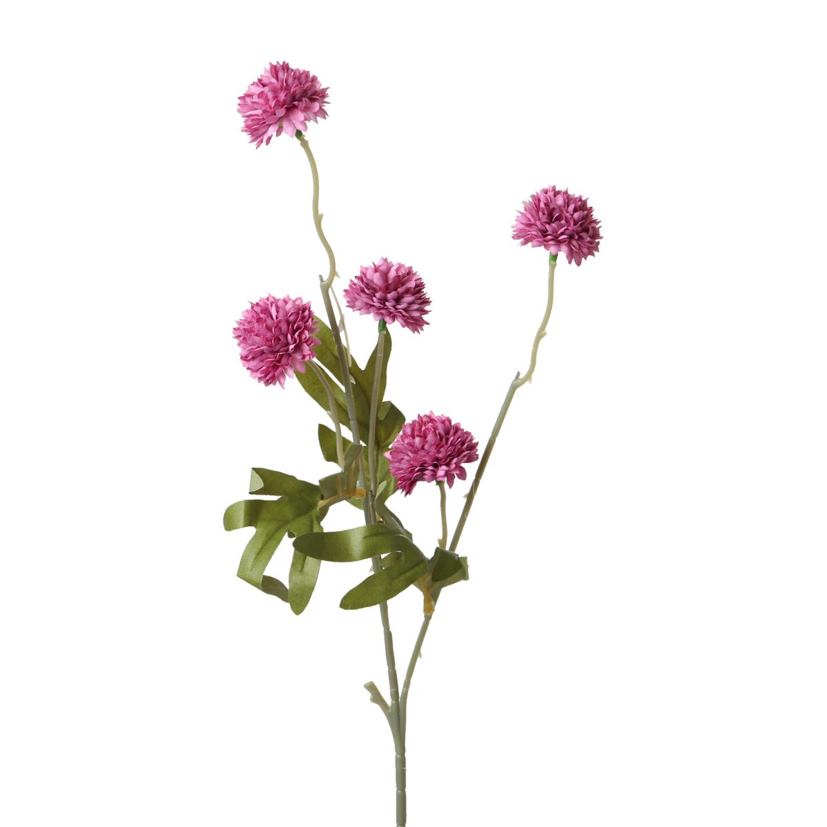 Chrysanthemum-Einstieler pink