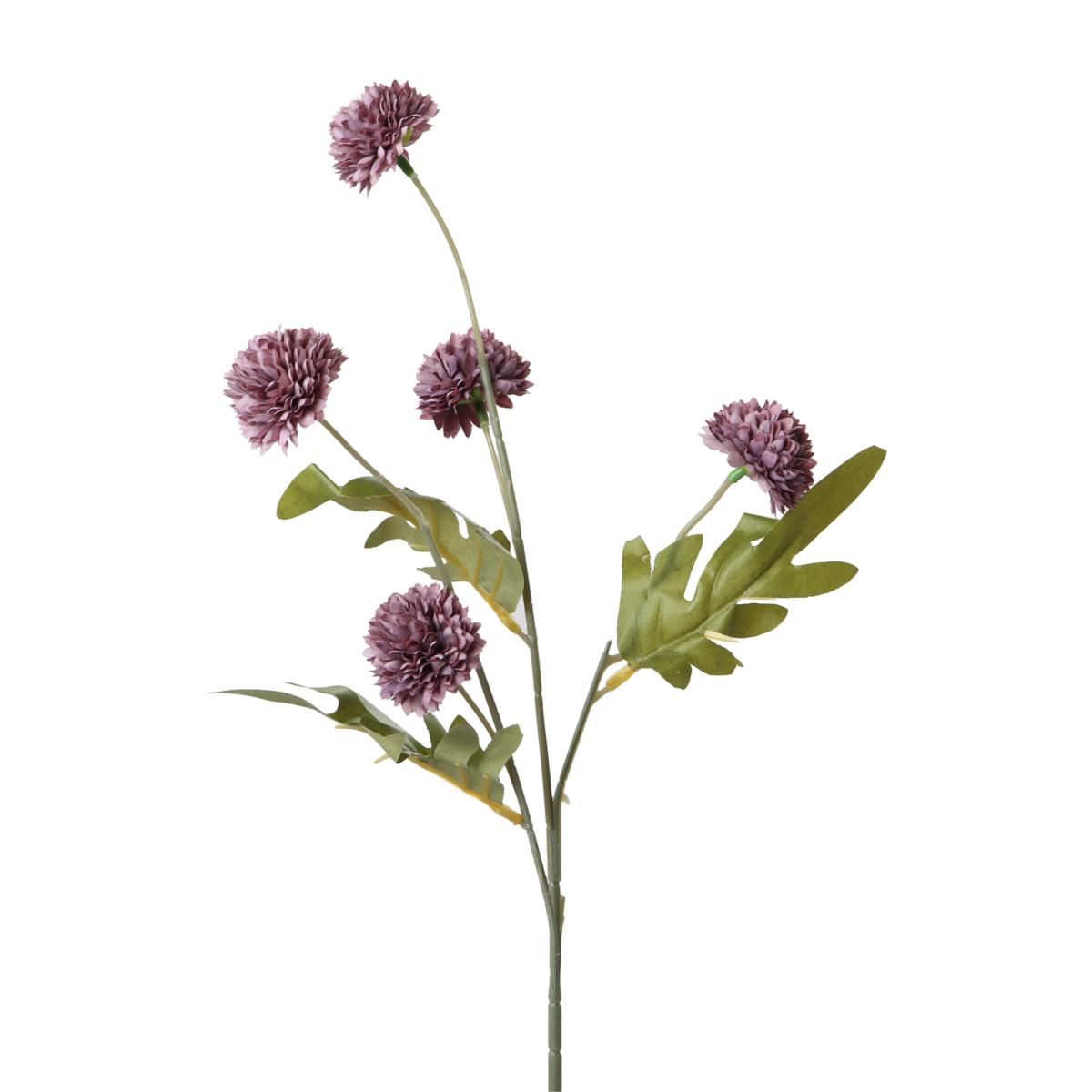 Chrysanthemum-Einstieler flieder