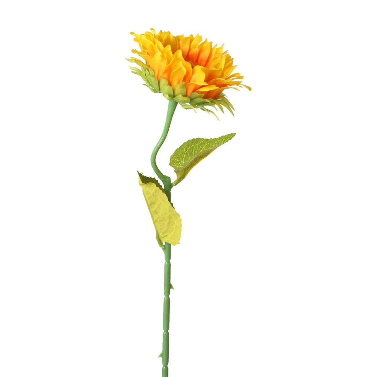 Sonnenblume-Einstieler