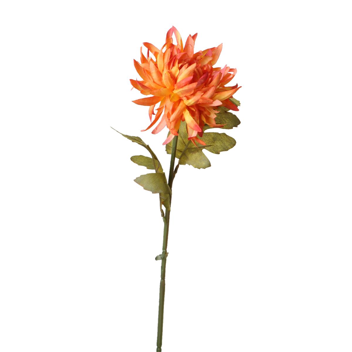 Chrysanthenum-Einstieler orange