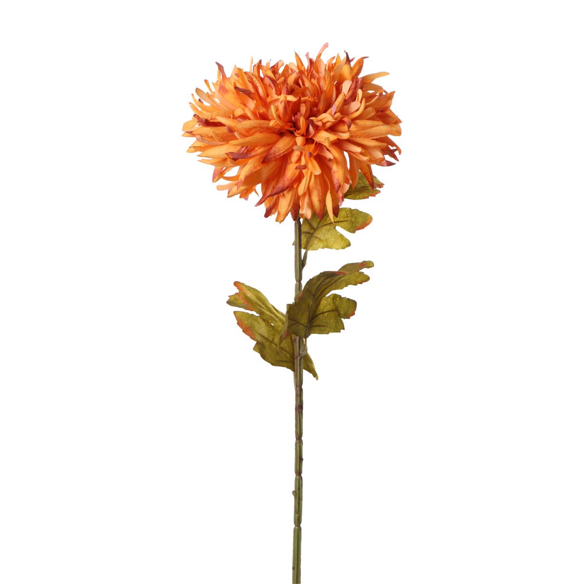 Chrysanthenum-Einstieler orange