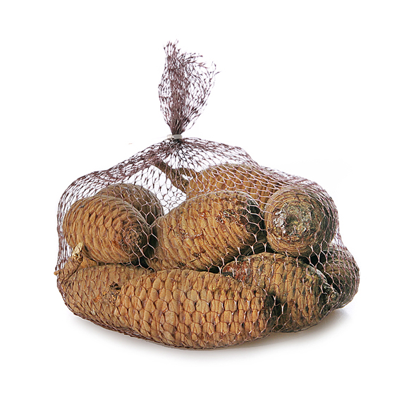 Pinus Cedar natur/Netz