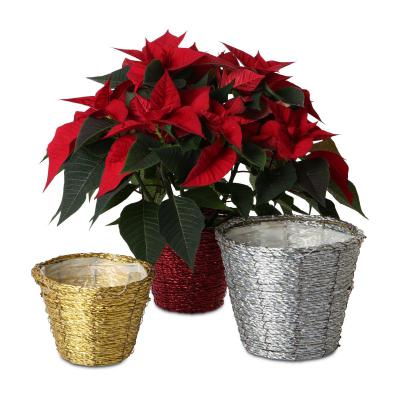 Flechttopf rund - silber