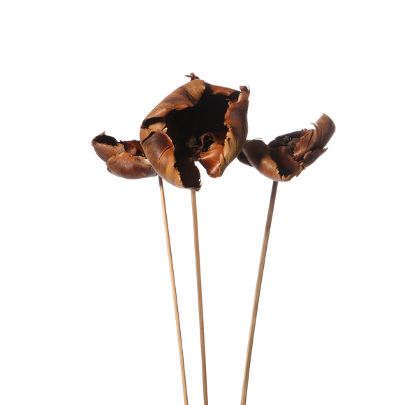 Palm Blüte lackiert gestielt