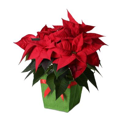 Jute-Topf f&uuml;r 12er mit Schleife gr&uuml;n