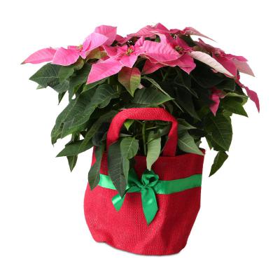 Jute-Tasche mit Henkel und Schleife rot