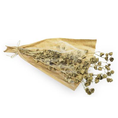 Wild Berry Flower Bund farbig 70g