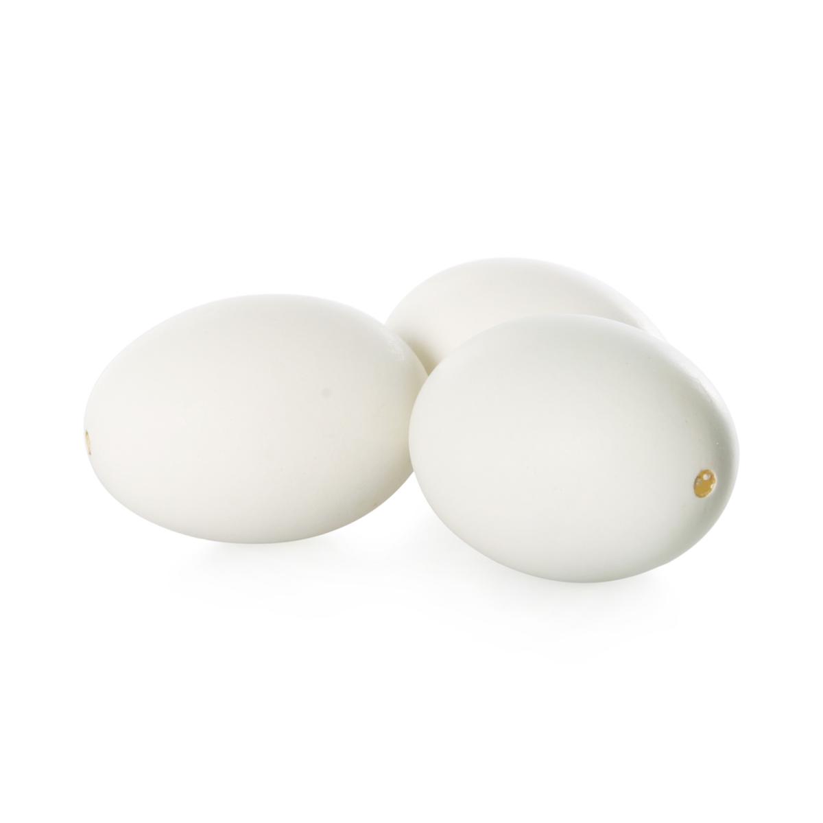 Enteneier ausgeblasen