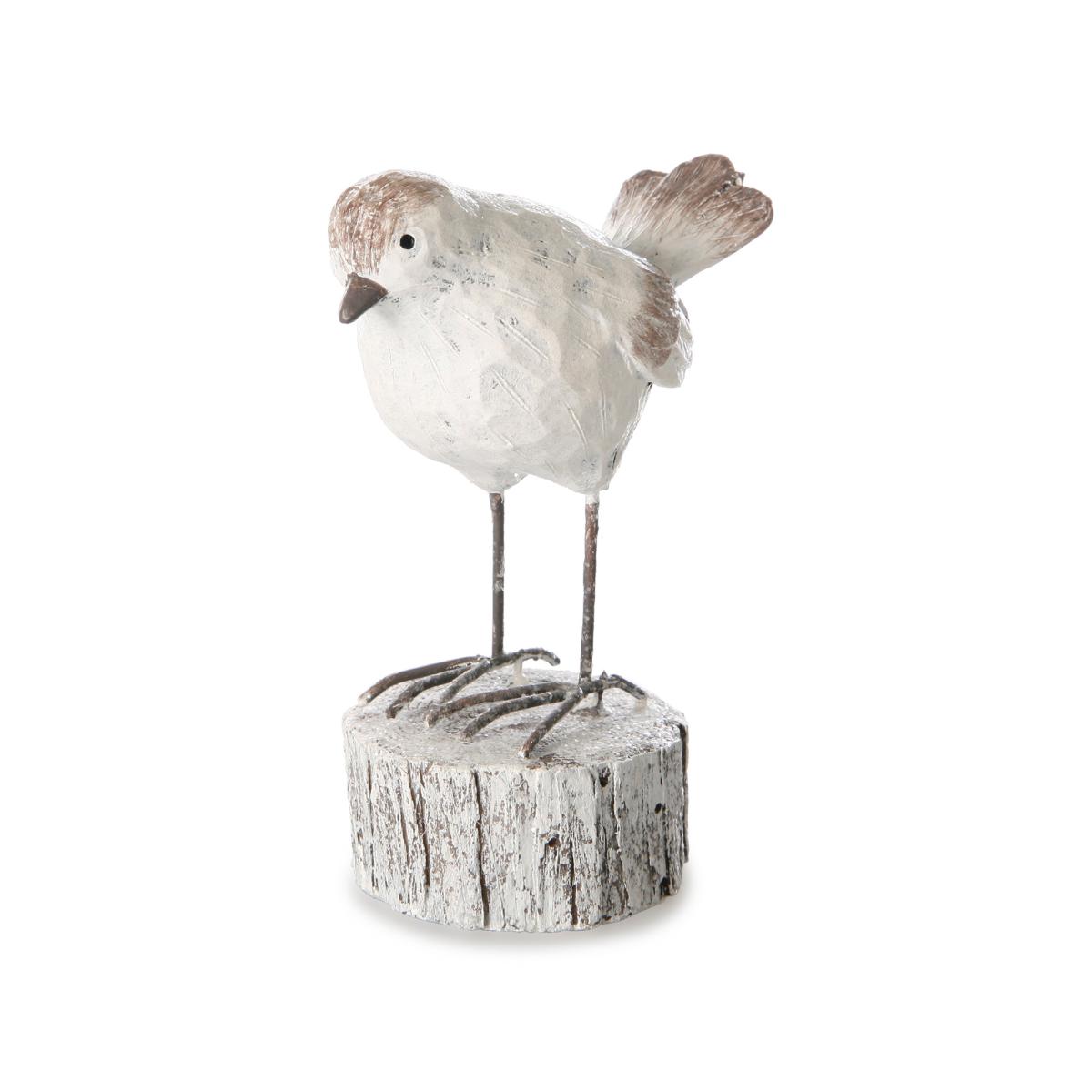 Vogel auf Baumscheibe