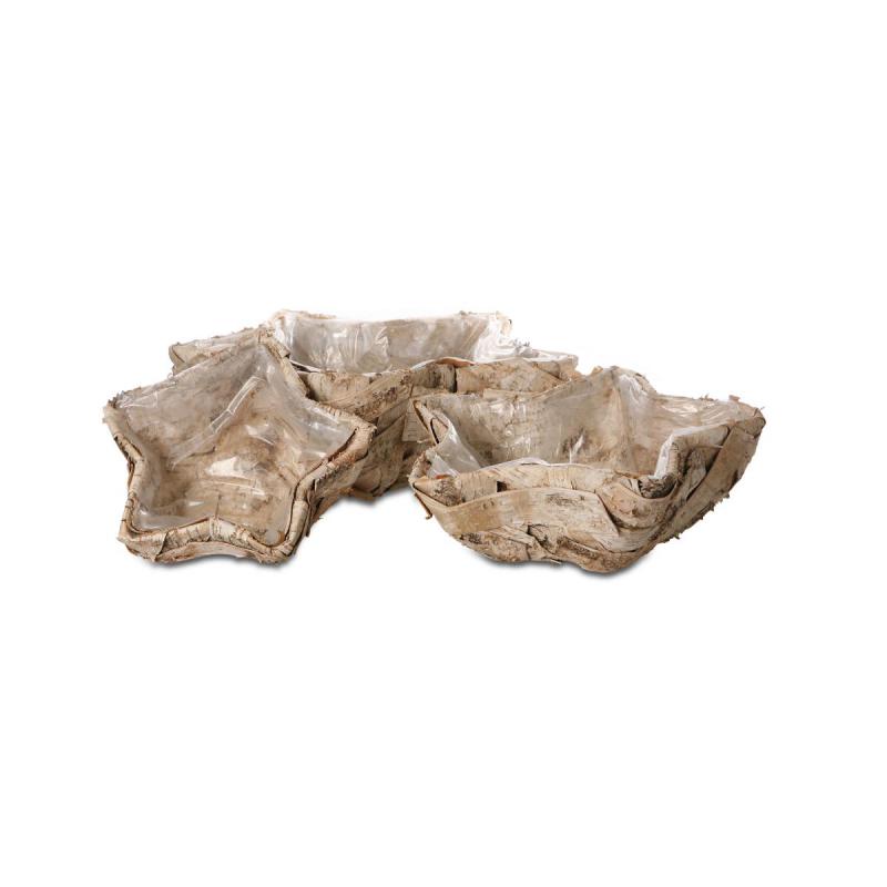 Birken-Stern zum Füllen