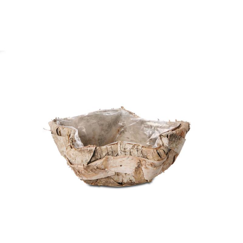 Birken-Stern zum Füllen