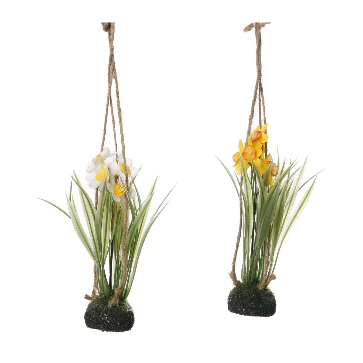 Narzisse zum Hängen Farbmix