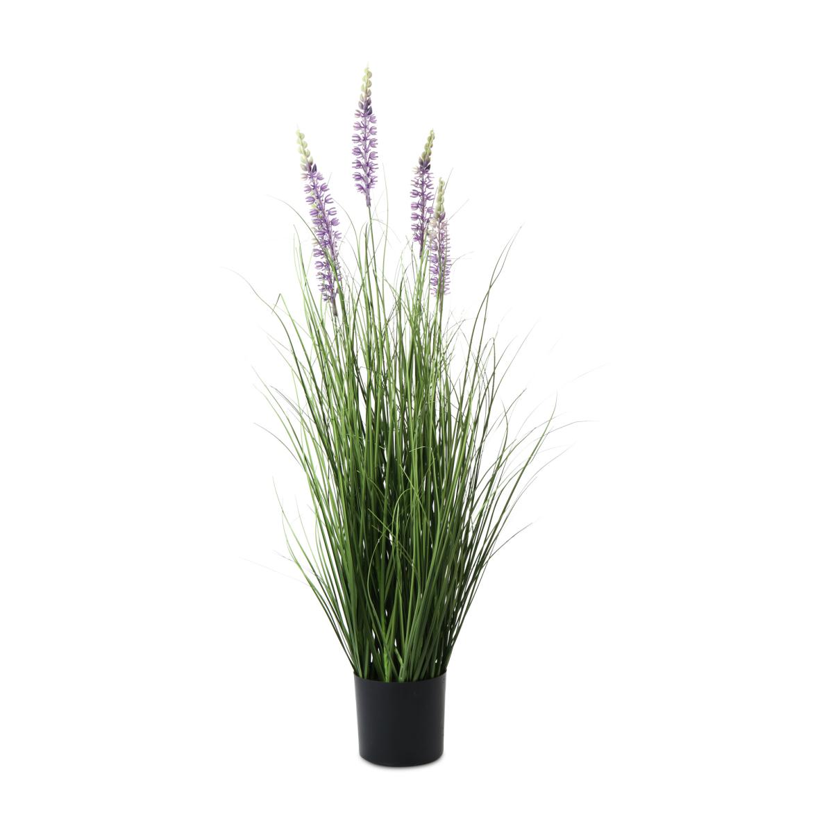 Lavendel im Topf