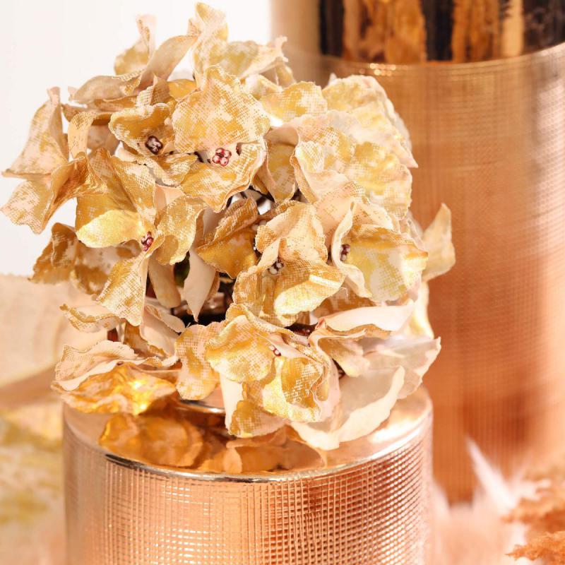 Hortensien-Einstieler elfenbein