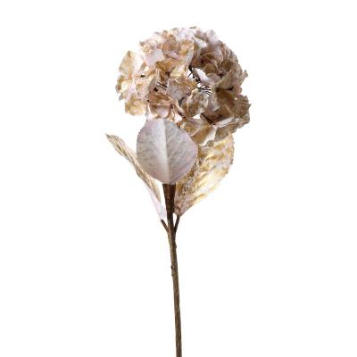 Hortensien-Einstieler elfenbein