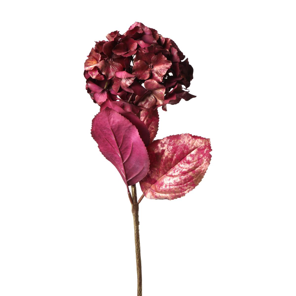 Hortensien-Einstieler beeren