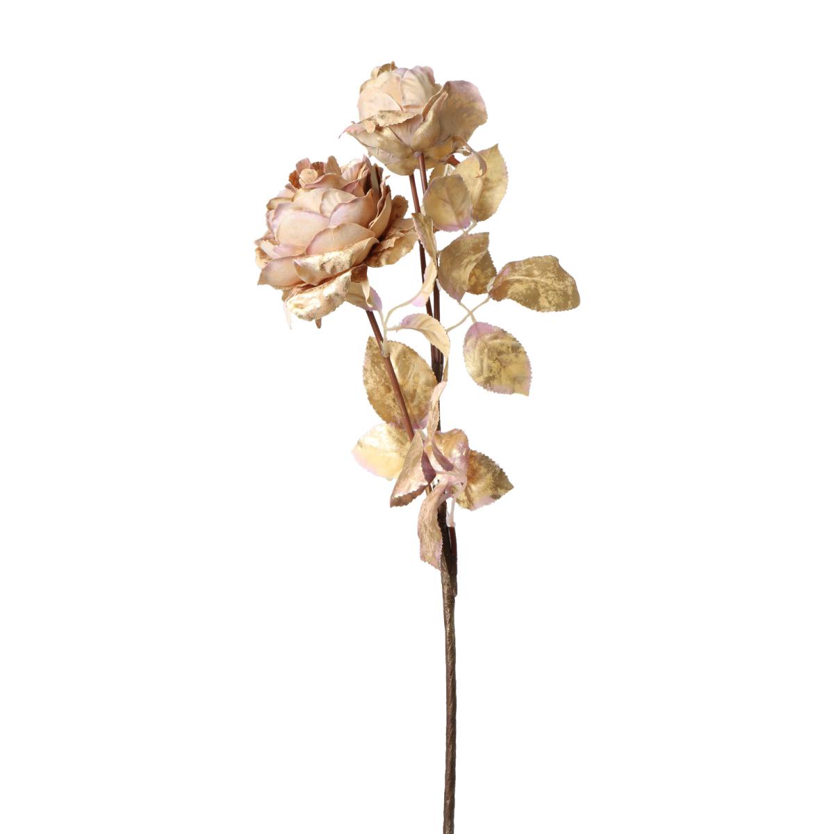 Rose-Einstieler elfenbein