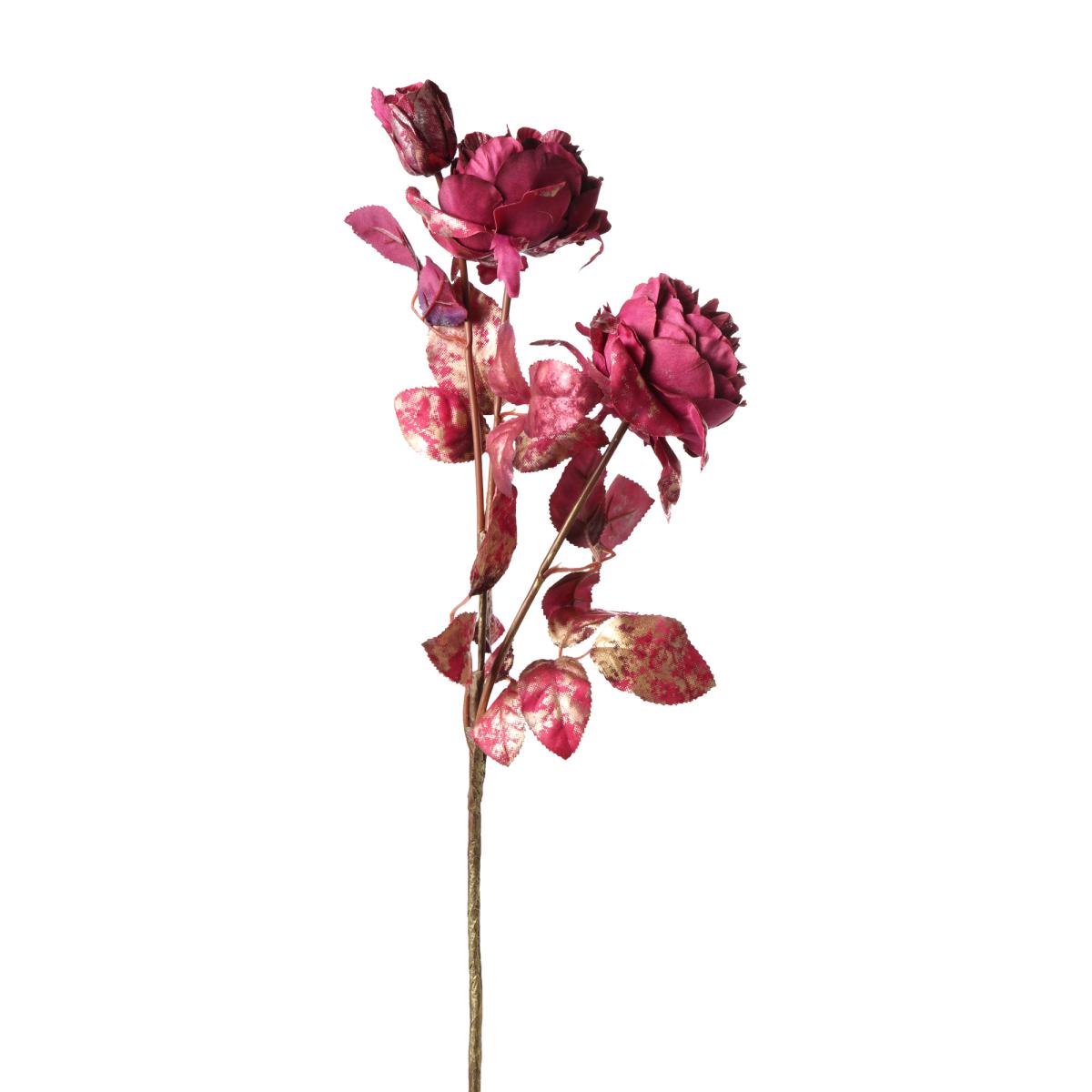 Rose-Einstieler beeren