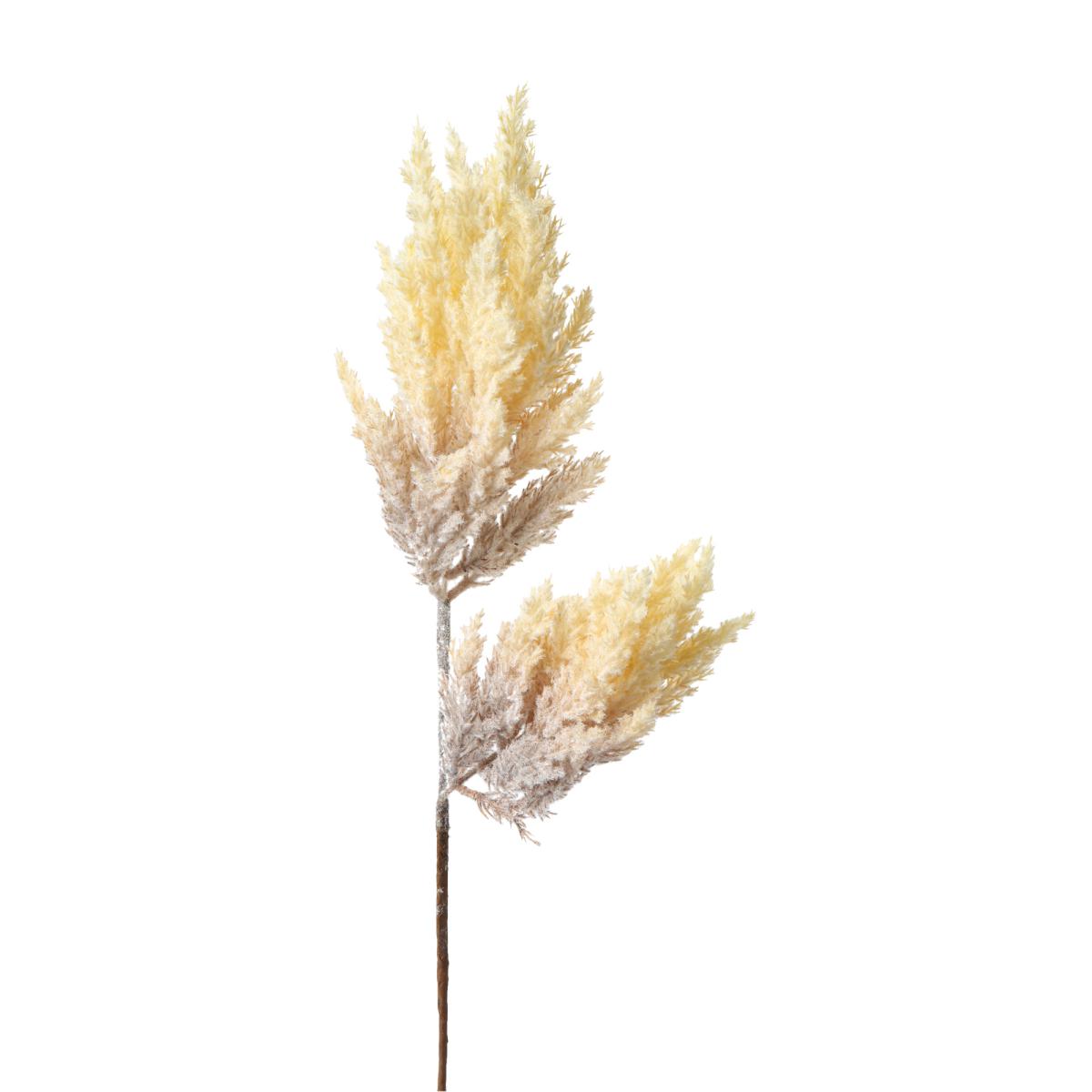 Astilbe-Einstieler gebleicht