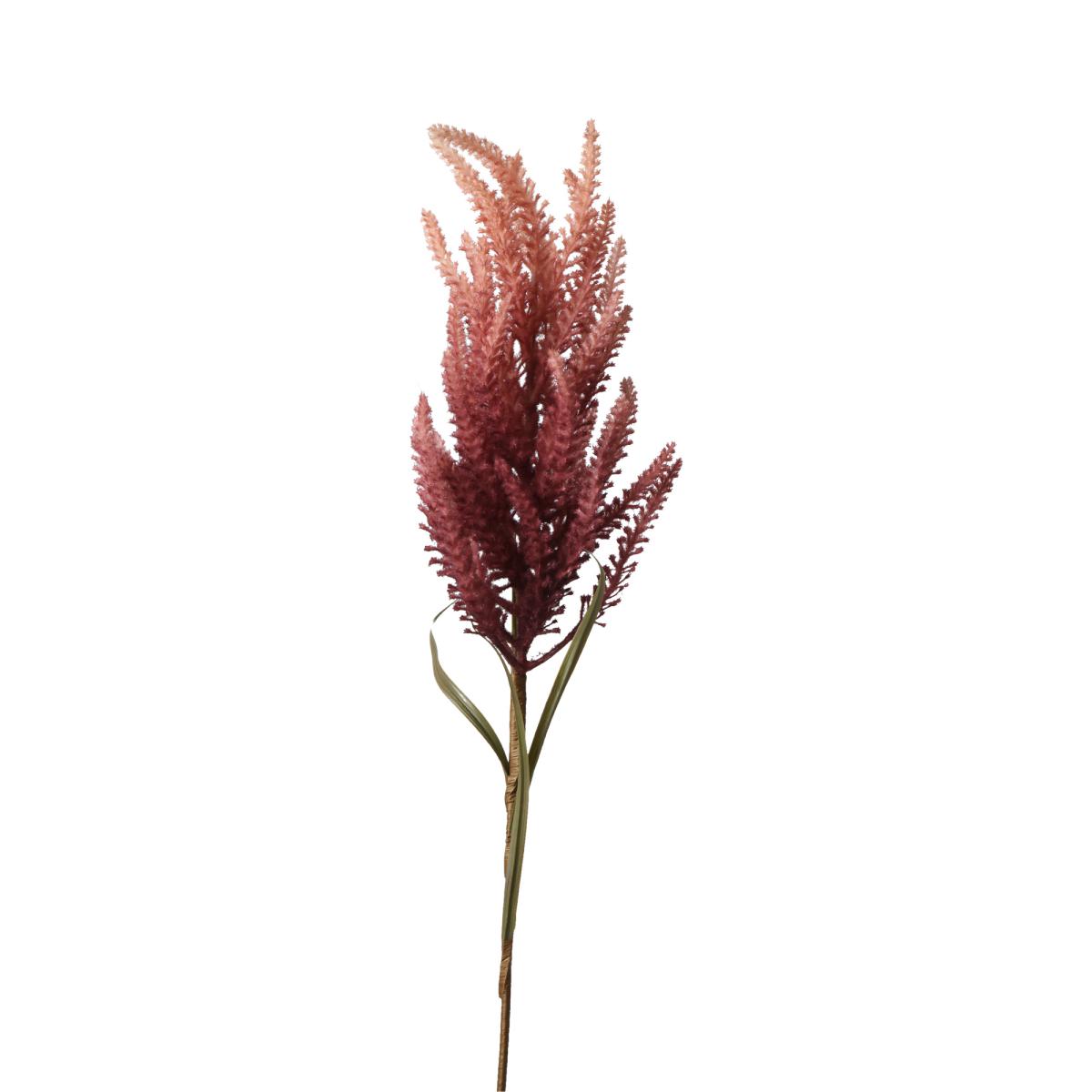 Astilbe-Einstieler beeren