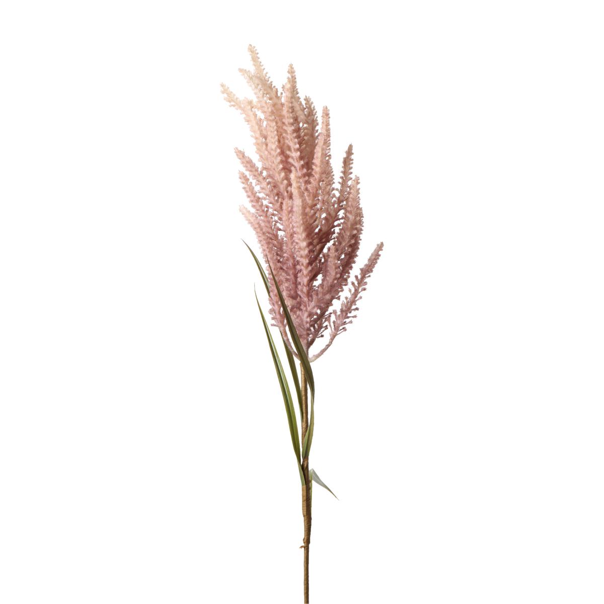 Astilbe-Einstieler natur