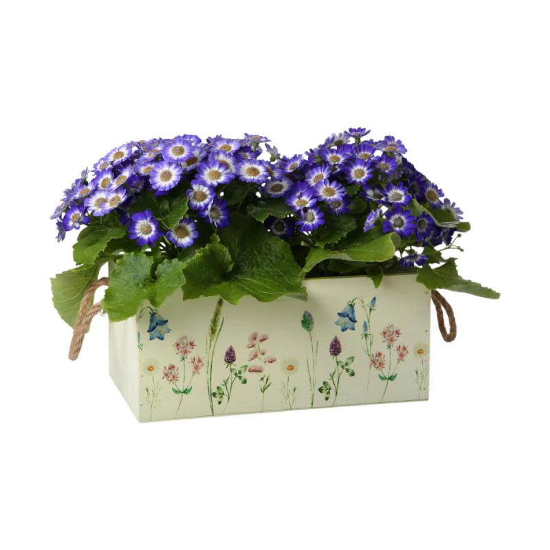 Holz-Kiste rechtecking mit Blümchen