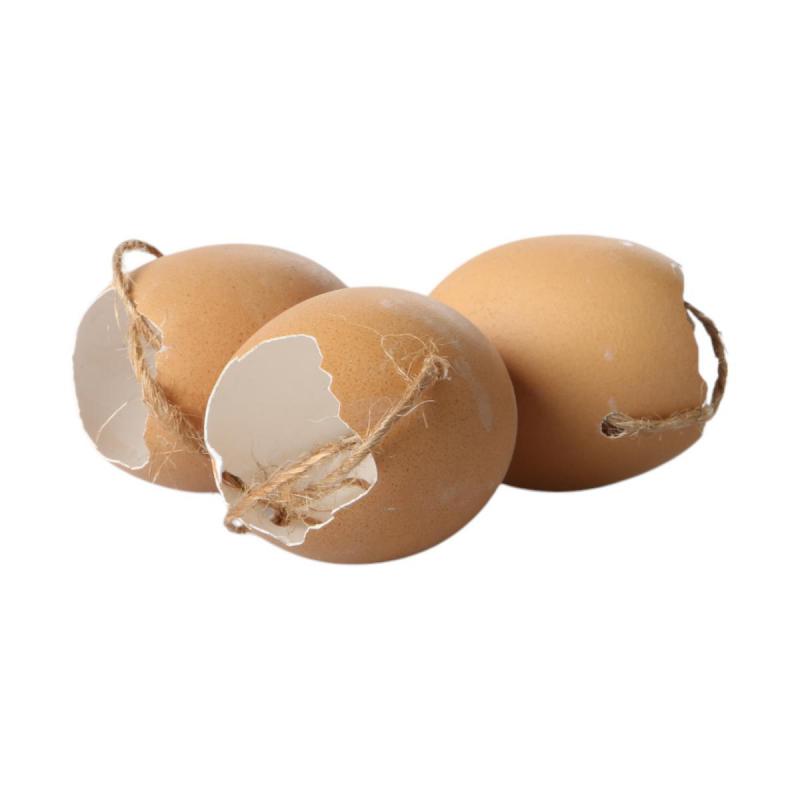 H&uuml;hnereier offen mit Schnur natur