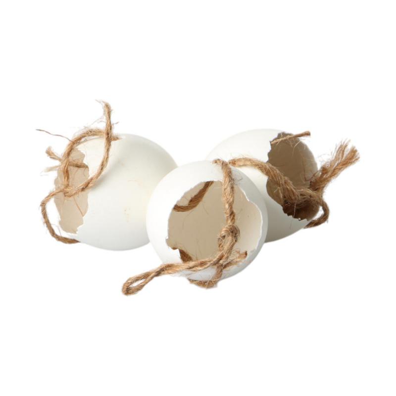 H&uuml;hnereier offen mit Schnur wei&szlig;