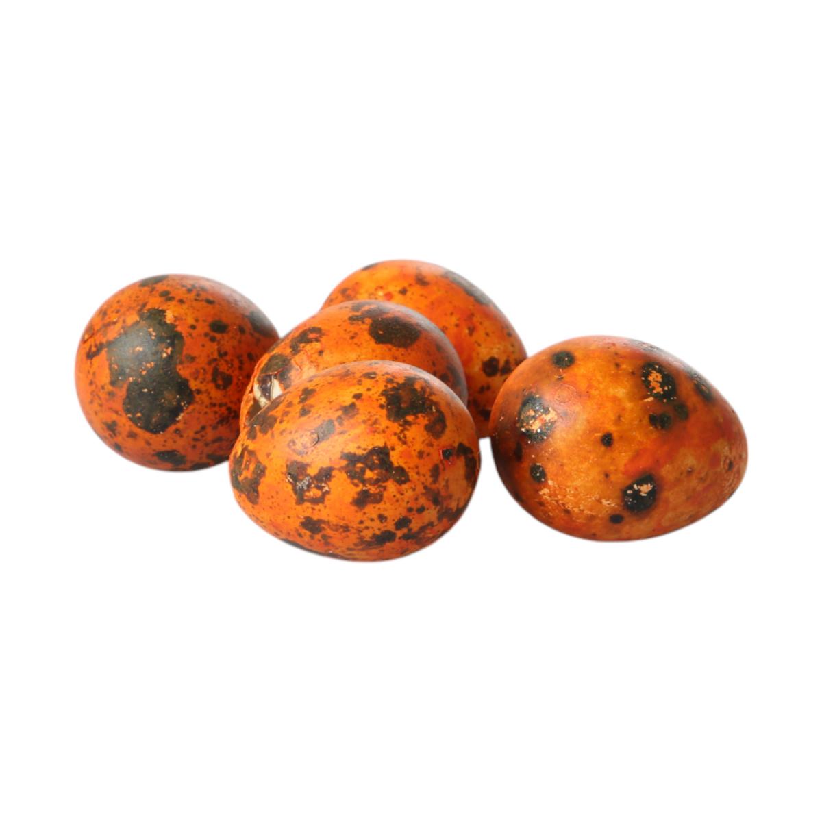 Wachteleier gef&auml;rbt orange