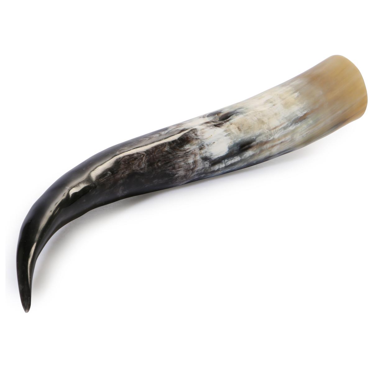 Rinderhorn poliert 50-59cm